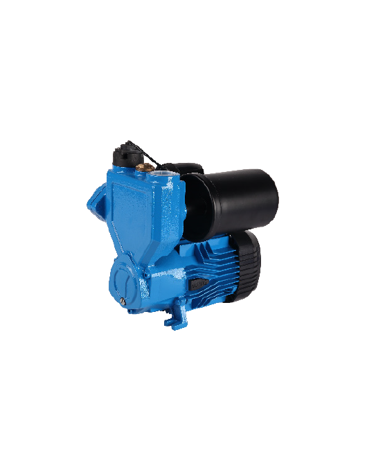 Automatic Water Pump